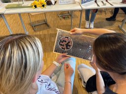k-imkerschule_6c_8
