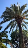 k-barcelona_8a_16