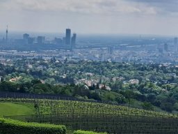 k-wienwoche_7a_24