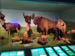 k-3erl_projekttage_salzburg_13