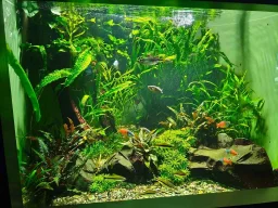 k-3erl_projekttage_salzburg_15