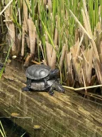 k-3erl_projekttage_salzburg_18