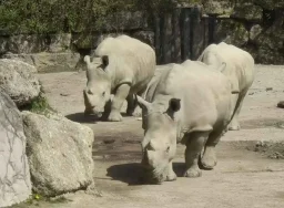 k-3erl_projekttage_salzburg_19