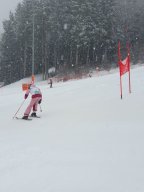 k-bezirksschultag_14