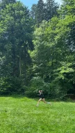 k-lm_orientierungslauf_1