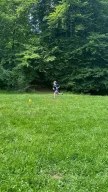 k-lm_orientierungslauf_7