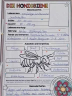 k-inge_bee_10