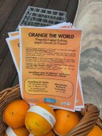 k-orange_the_world_7